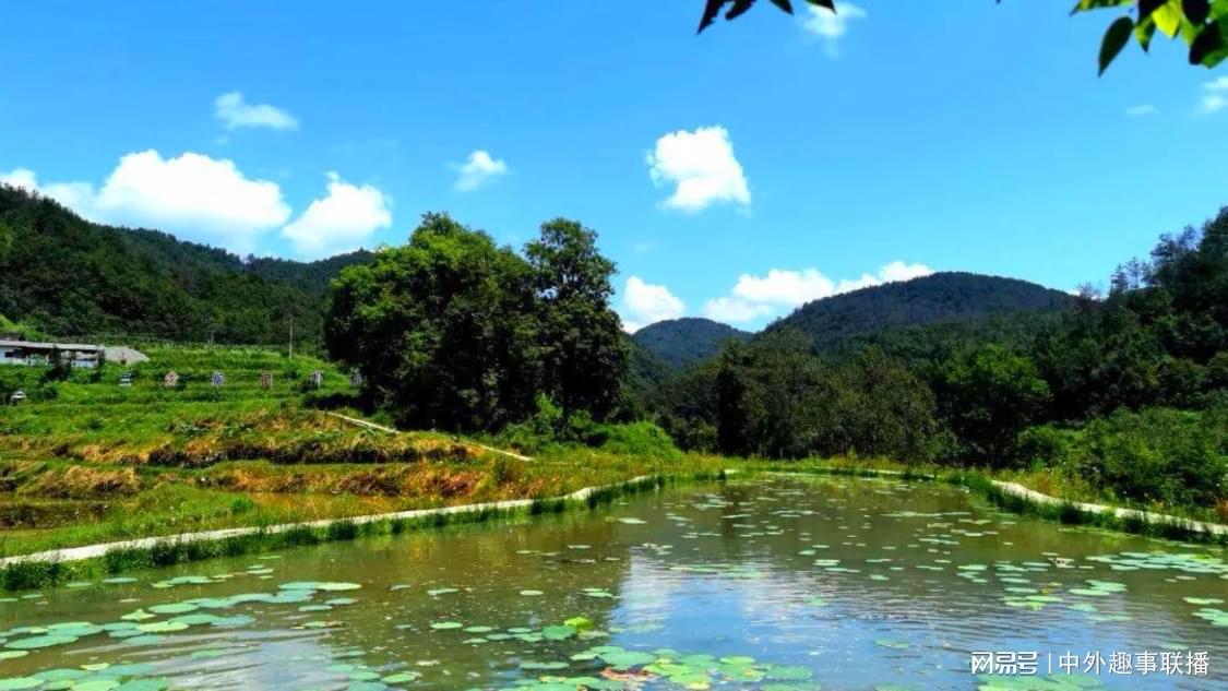 ks推广自助网站低价