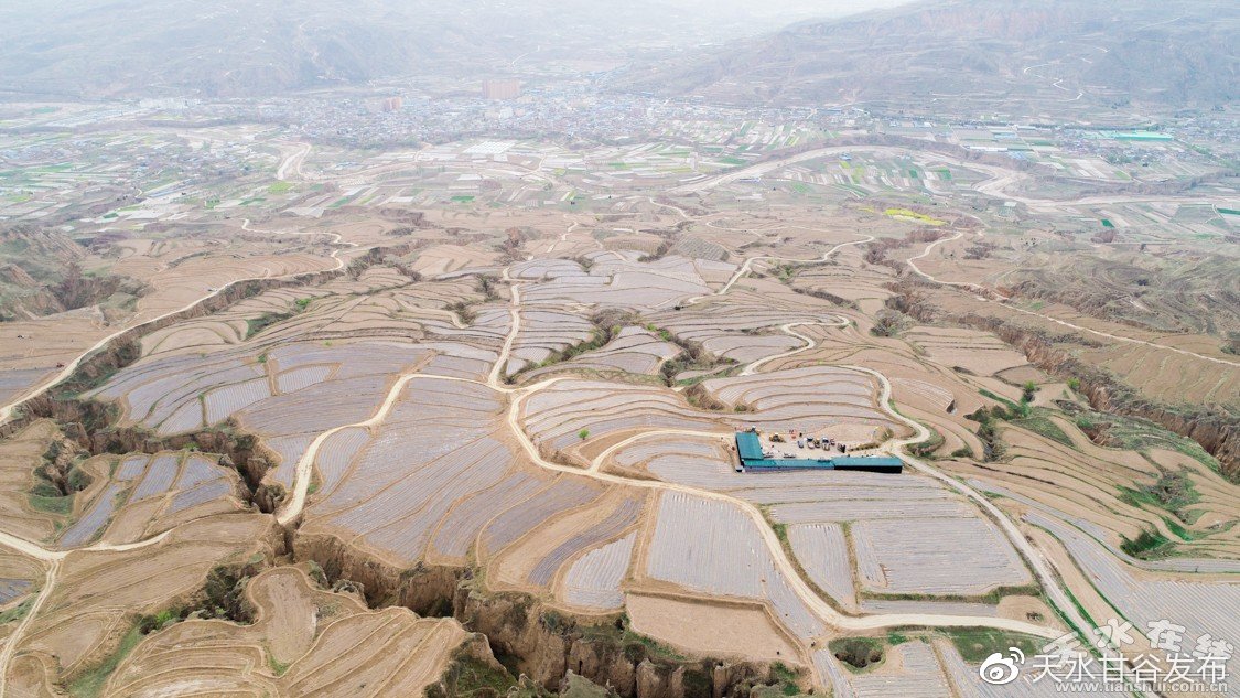 原来肖战思考得这么细