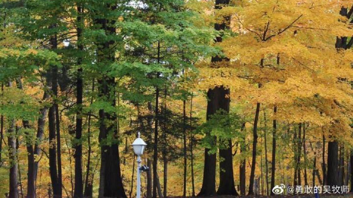 我爱云小店抖音自助下单：云购新潮指尖一点即刻到家_黑蚂蚁快手自助下单