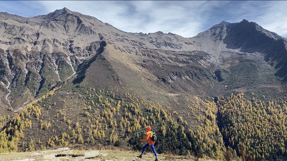 ks涨赞网站网红